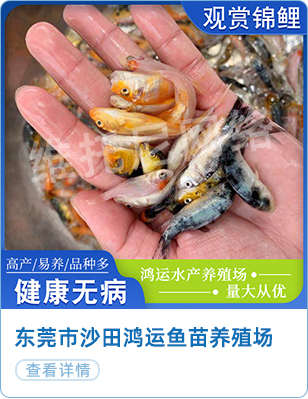 777午夜福利理论电影网